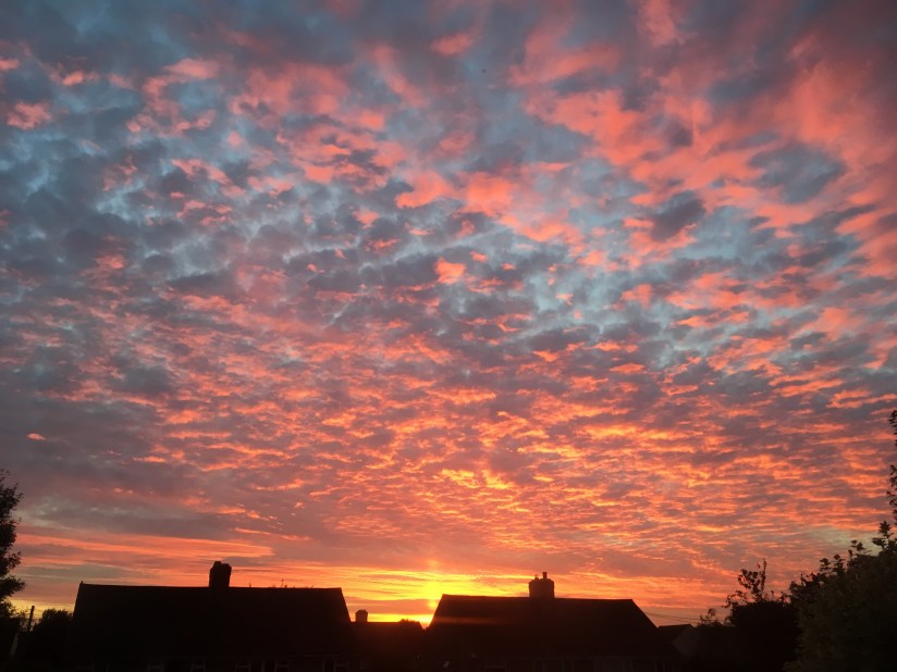 CDF5E550-5285-4B9D-8493-7E1C0596D89D